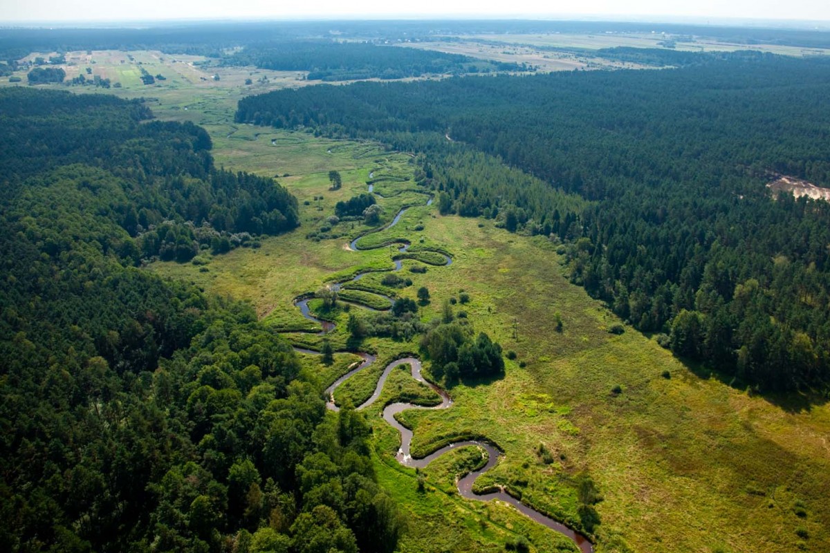 1 - Meandry Czarnej Łady